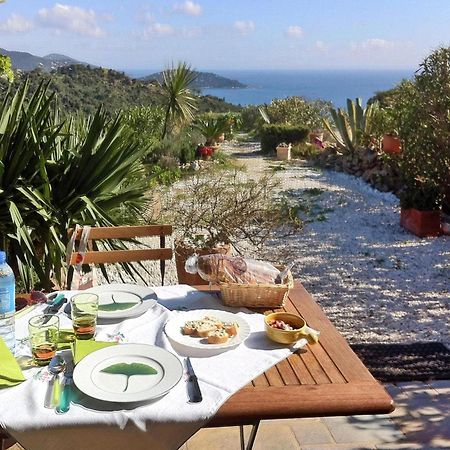 Pretty Tiny House With Sea View, Le Lavandou Buitenkant foto