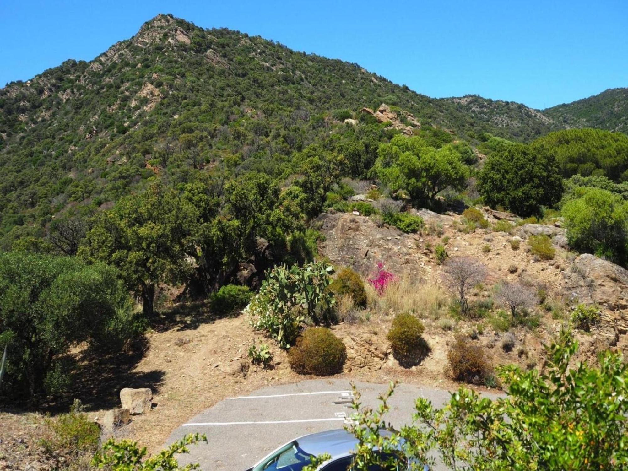 Pretty Tiny House With Sea View, Le Lavandou Buitenkant foto